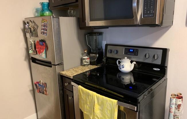 Studio, 1 bath, $850, Unit 313