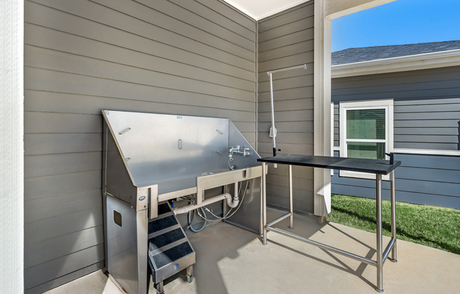 Pet Washing Station