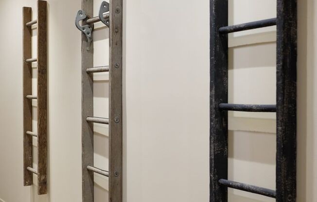 1 bed, 1 bath, 556 sqft, $2,699, Unit 517