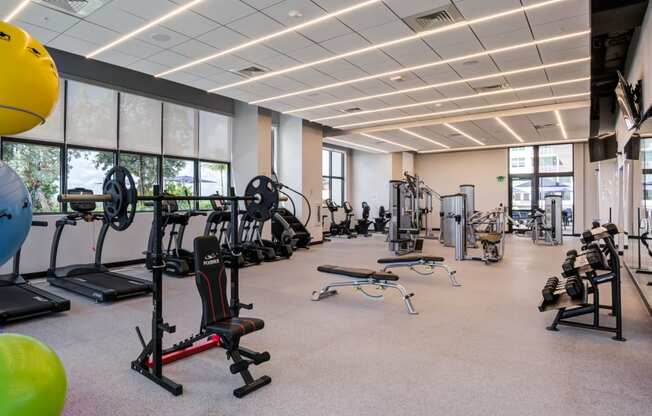 Apartments Miami FL - MB Station Fitness Center With Weight Machines, Free Weights, and Cardio Machines