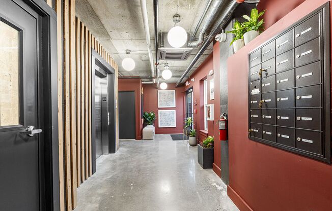 Studio, 1 bath, 398 sqft, $1,150, Unit 203