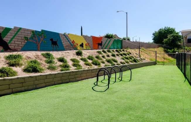 a yard with grass and a fence and a wall with graffiti