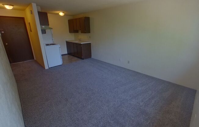 Mill Manor Apartments