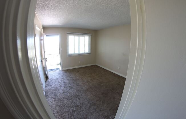 Studio, 1 bath, 275 sqft, $1,699, Unit 5