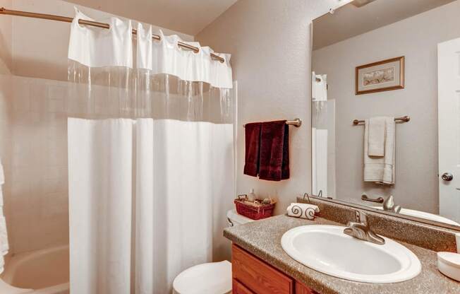 A Standard Bathroom at Greentree Village Apartments