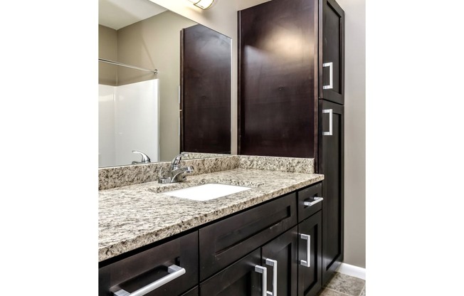 Large bathroom vanity with dark cabinets  at The Apartments at Lux 96 in Papillion, NE