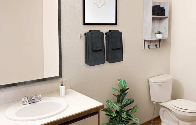 a bathroom with a toilet sink and mirror and a plant at Shiloh Glen, Montana, 59102