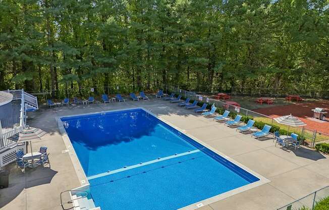 A large blue swimming pool surrounded by trees and lounge chairs.