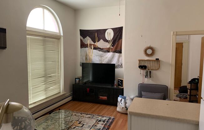 1 bed, 1 bath, $1,250