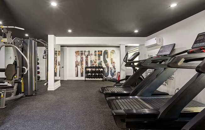 Brand-new fitness center with treadmills, machines, and free weights.