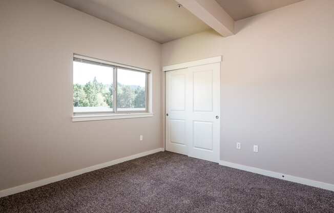 an empty bedroom with carpet and a large window