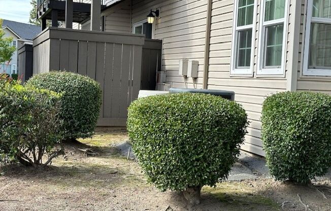 1 bed, 1 bath, 700 sqft, $1,720, Unit 146