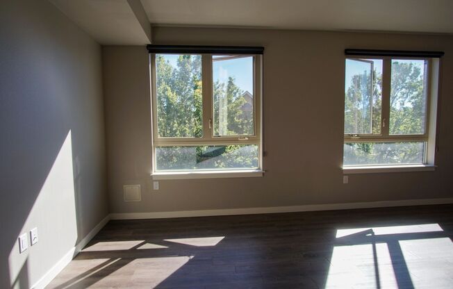 Studio, 1 bath, $1,285, Unit 305