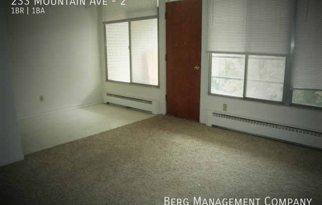 233 MTN AVE