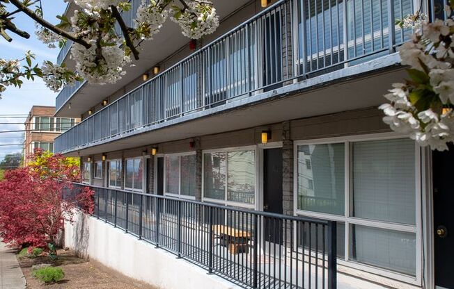 Studio, 1 bath, 355 sqft, $1,325, Unit 311