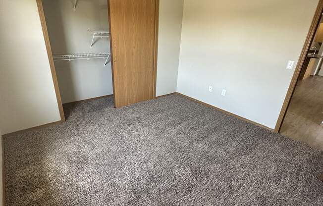 an empty bedroom with a closet and a carpeted floor