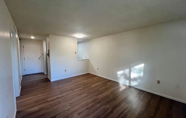 1 bed, 1 bath, 500 sqft, $1,200, Unit 204