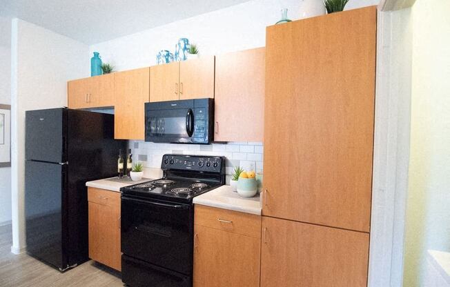 a kitchen with a black stove and a black refrigerator