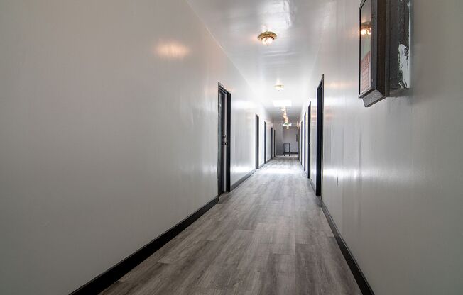 1 bed, 1 bath, 307 sqft, $1,495.83, Unit 32