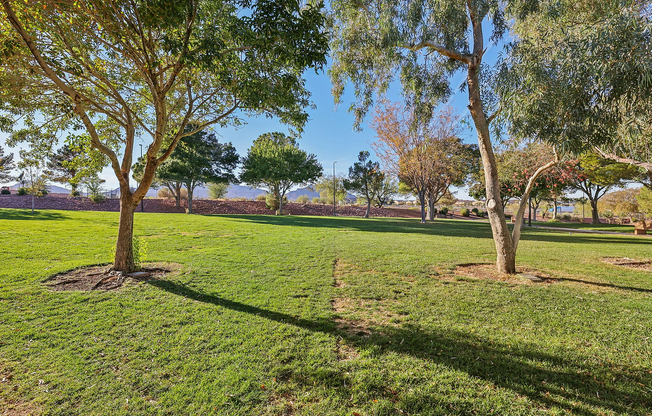 Neighborhood Park (Mission Hills)