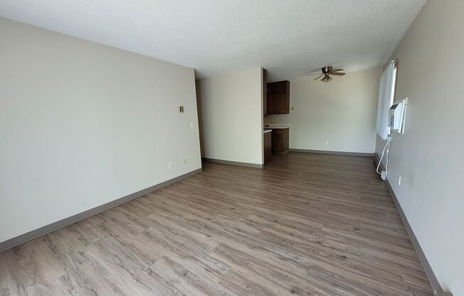 1 bed, 1 bath, 900 sqft, $700, Unit 305