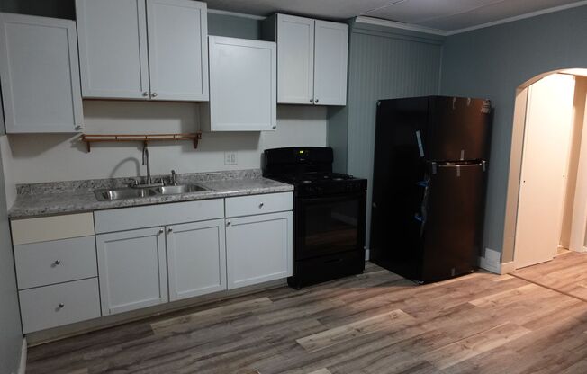 915 W Powers St- Unit 1