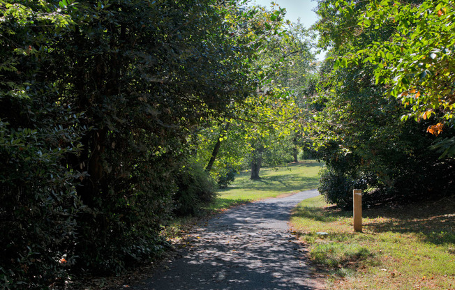 Forest Walking Path at The Thornton, Alexandria, VA, 22314
