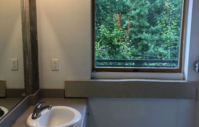 Studio, 1 bath, 800 sqft, $1,725, Unit B-202