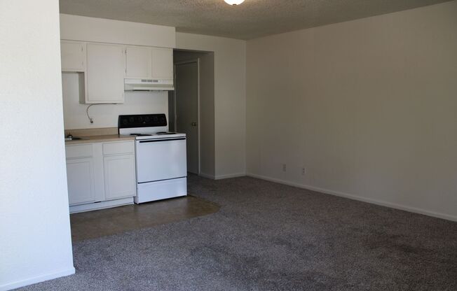 1 bed, 1 bath, $525, Unit Eleventh 728 W. #D