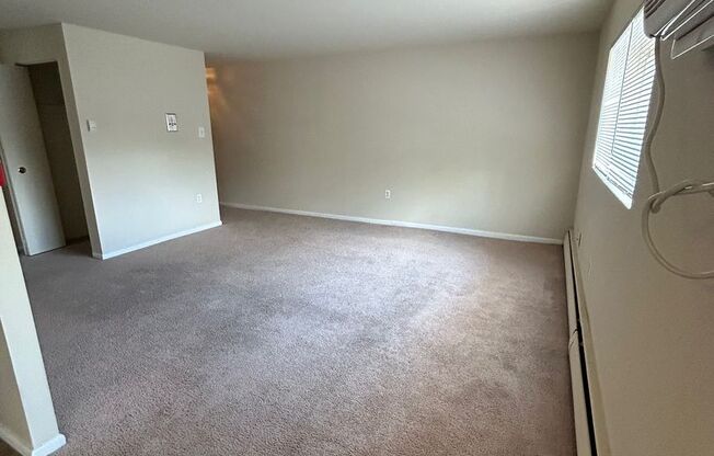 1 bed, 1 bath, $1,250, Unit 207