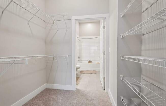 A large walk-in closet with white shelving and a carpeted floor.