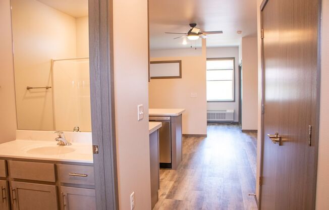 Studio, 1 bath, 500 sqft, $935, Unit 2448 9