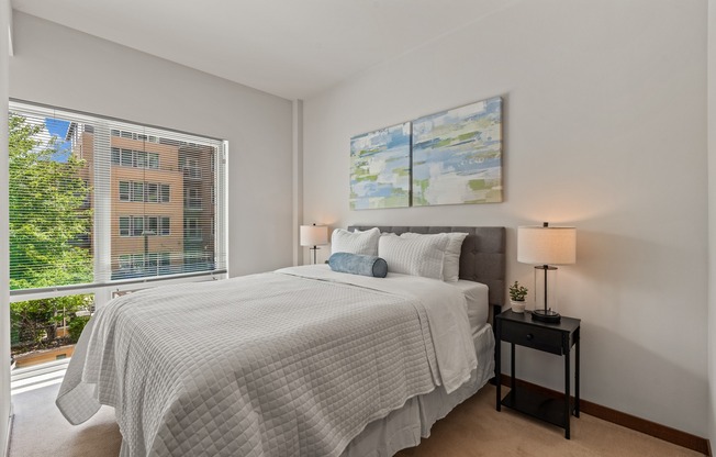 Apartments in Downtown Madison, Wisconsin. Domain Apartments offers luxury studio, 1 bedroom, 1 bedroom + Den, and 2 bedroom apartments.