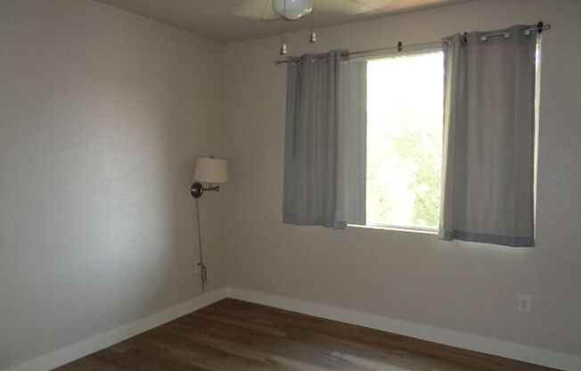 1 bed, 1 bath, $1,199