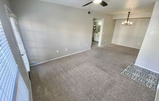 1 bed, 1 bath, $1,450