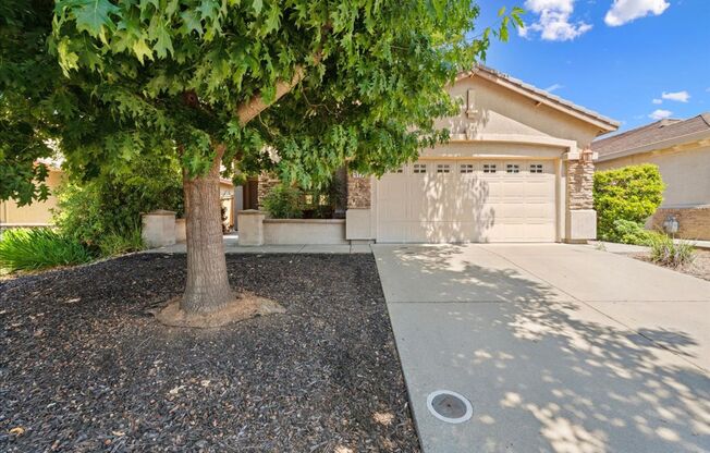 312 Lone Spur Dr