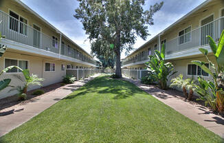 Lush Green Outdoors at Mountain View Place, California