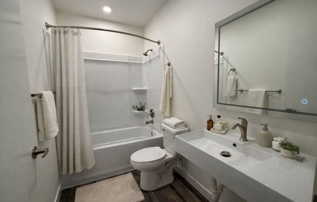 Studio, 1 bath, 329 sqft, $1,725, Unit 510