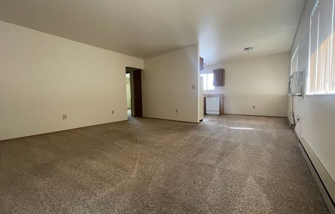 Skyview Apartments - 611 N. Baker St.