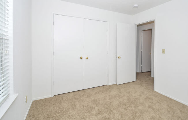 Large Bedroom Closet with Plush Carpeting