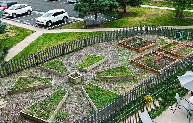 A black fence surrounds a garden with a variety of plants.