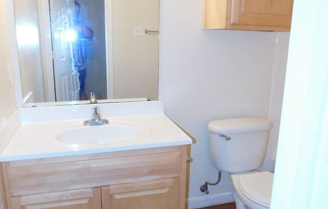 1 bed, 1 bath, $1,000