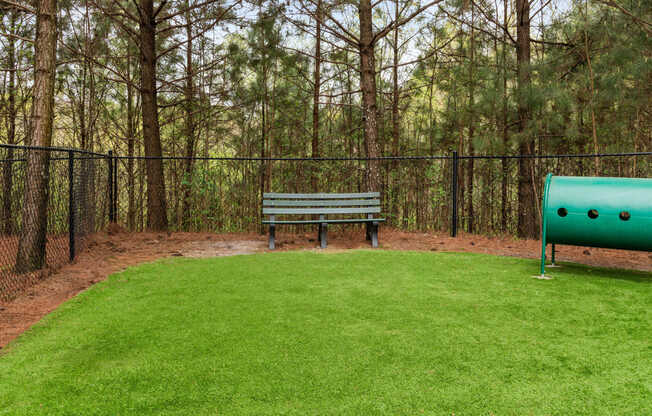 Dog Park