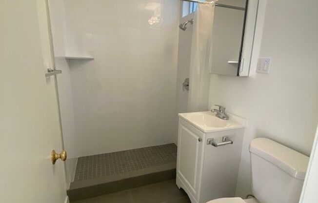 1 bed, 1 bath, $2,995, Unit 1