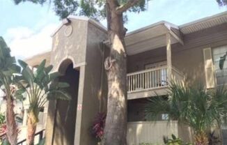 2 Bed/1 Bath, Ground Floor unit at Serravella at Spring Valley! AVAILABLE NOW!