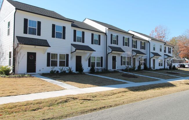 NEW 3 Bedroom Townhome Minutes from Downtown Oakboro