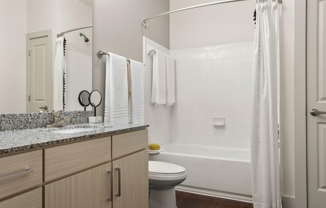 Upgraded Modern Gray Finish Home - Bathroom