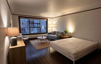 Studio, 1 bath, 429 sqft, $1,300, Unit Unit 207
