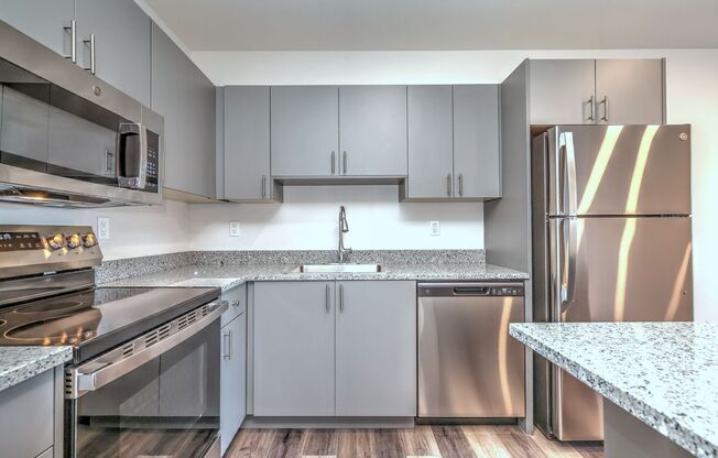 1 bed, 1 bath, 740 sqft, $2,300, Unit Apt 1303