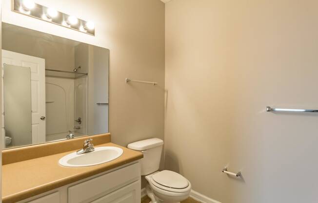 a bathroom with a toilet and a sink and a mirror